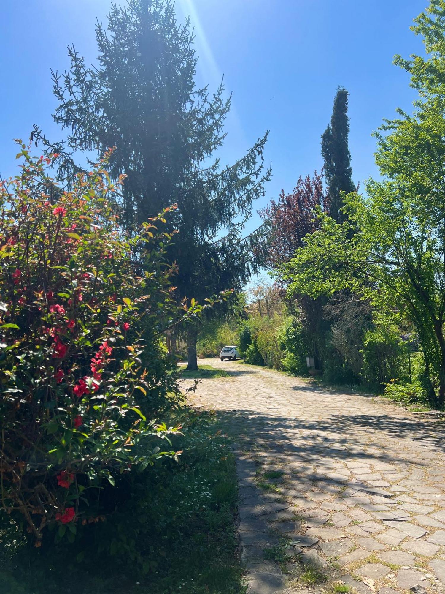 Villa Alberto Sulmona Eksteriør billede